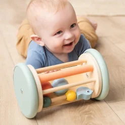 Done By Deer Aktivitets- & rullespejl Birdee Farvemix- Trælegetøj