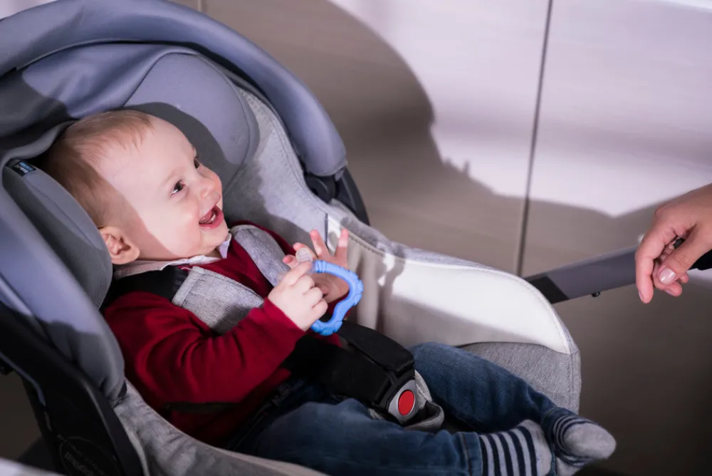 Nuvita FLAVORILLO 2 i 1 frugtsut og bidering - pink- Foodfeeder Og Frugtsut