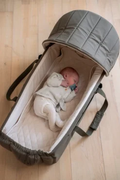 Filibabba Frida Swift lift 2.0 inkl. kaleche - Grey- Lifte