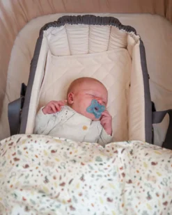 Filibabba Frida Swift lift 2.0 inkl. kaleche - Grey- Lifte