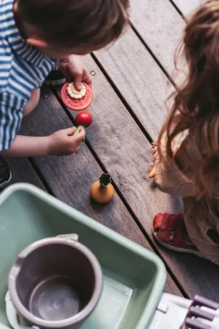 DanToy Green Garden Trillebørsæt- Til Sandkassen|Leg I Haven