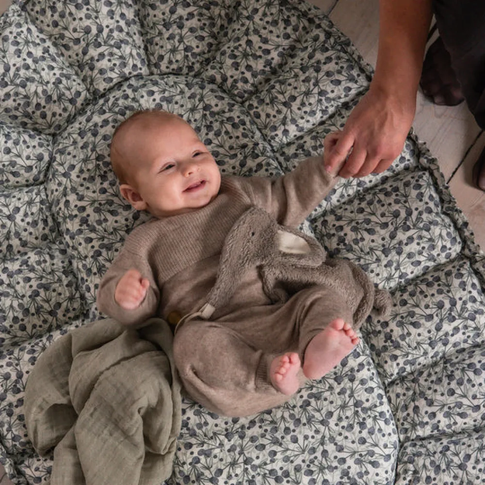 Sebra 3-i-1 Babylift - Blue Olive- Lifte