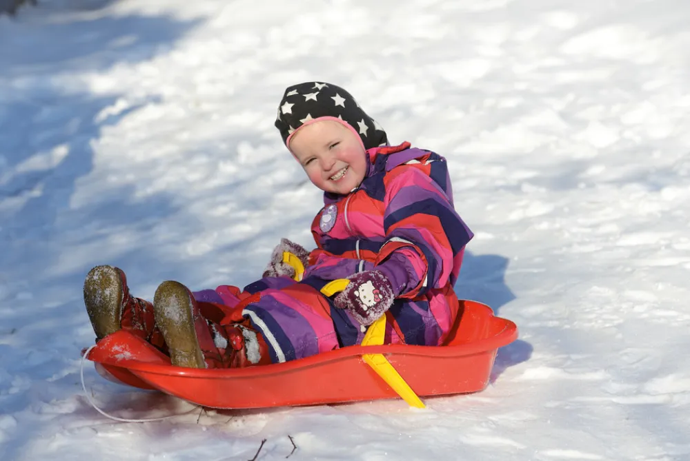 DanToy Kælk bobslæde med bremser ass. farver 79 cm.- Leg I Haven