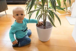 Abus Noah Plantebeskytter, 2 stk- Sikkerhed I Hjemmet