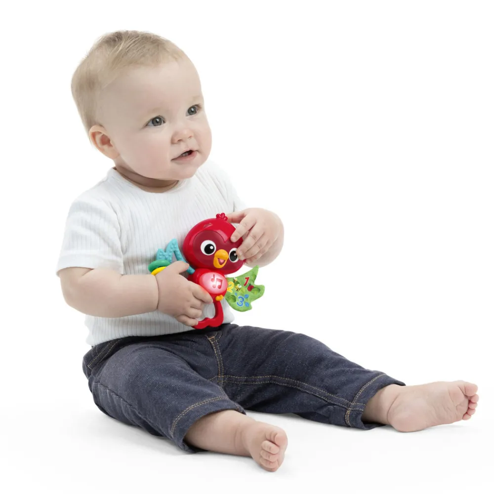 Baby Einstein Roxy's Bright Flight aktivitetslegetøj med ophæng- Bideringe & Rangler