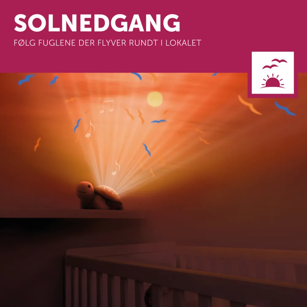 ZAZU Tim Skildpadde-Børn White Noise Og Højtalere|Lamper